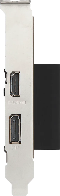 MSI GeForce GT 1030 2GH LP OC - Outputs