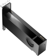 PNY RTX 2000 Ada - Side