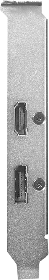 Asus GeForce GT 1030 - Outputs