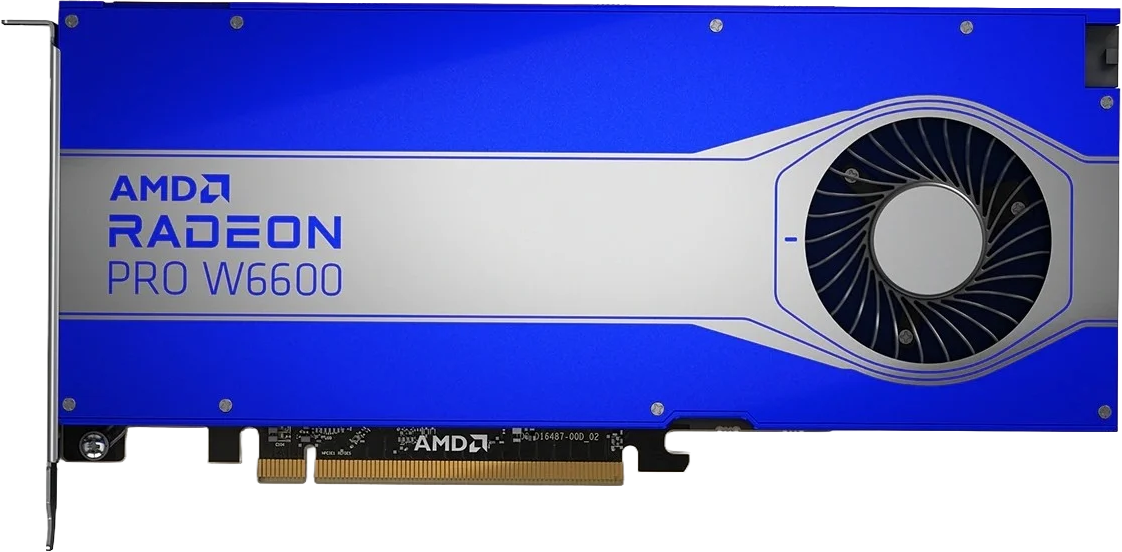 AMD Radeon PRO W6600 - 